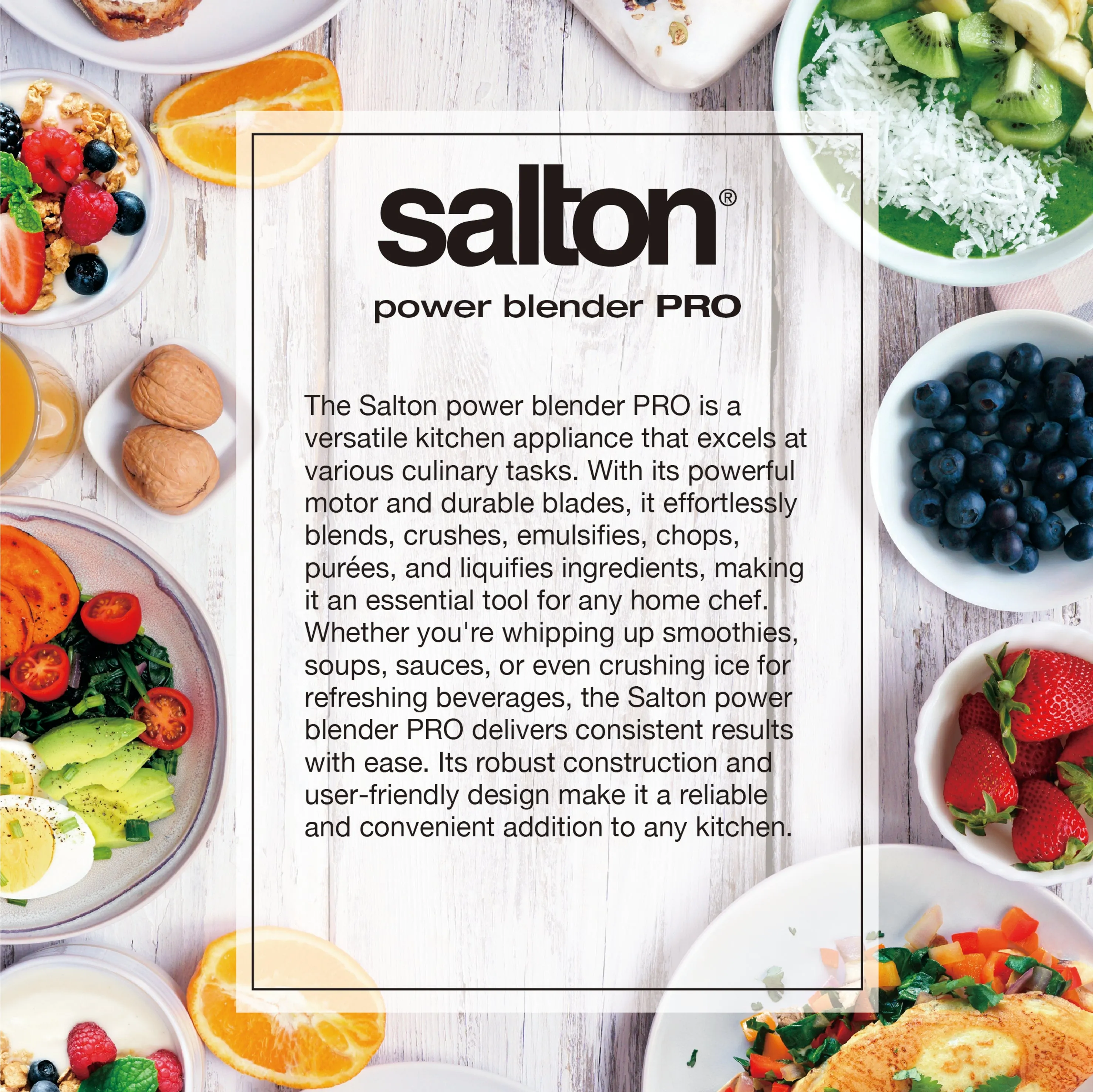 Salton Professional Grade Power Blender